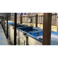 Tulja Coating Plant7 img -3.